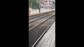 Train driver saves dog running on rracks in Manila