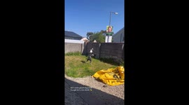Dog Thinks Poster Is Real Person