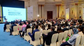 New Development Bank organizes int'l seminar in Egypt