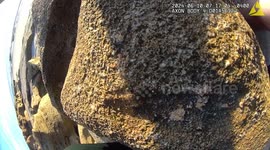Beached sea turtle carried back into ocean by rescuers in Florida