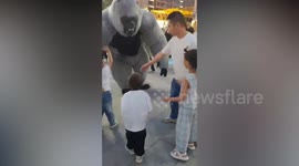Angry dad karate kicks gorilla mascot that knocked over child by accident