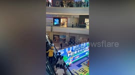 Runaway sea lion leads mall staff on wild chase through shopping centre