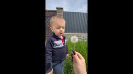 Mischievous mom uses delightful dandelion to prank clueless son