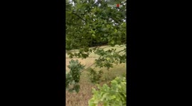 Man learning to ride a motorbike experiences his first funny fail
