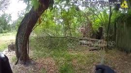 USA: Deputy Dog Bites Off Fleeing Suspect's Shoe in Tampa