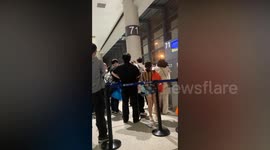Escaped sugar glider smuggled onboard plane causes chaos in China