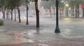 US: Heavy Rain Prompts Flood Watch In Sarasota