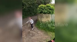 Rescue horse helps local dogs to overcome their fear of horses