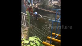 Heroic firefighters free woman's leg from iron bridge gap in China