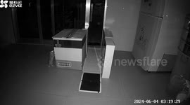 Rats evade family traps to invade home at night