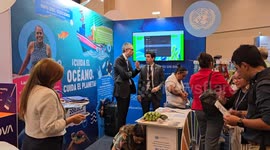 Costa Rica: More than 20 countries sign 'ocean peace declaration' in Costa Rica ahead of UN summit in 2025