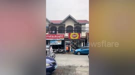 Chicken swings on power lines above road