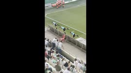 Referees' Steal The Show