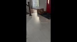 Suspicious Boxes Block Bulldog's Descent
