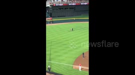 US: Reds Fan Runs And Backflips On Field, Tased By Police At Great American Ball Park