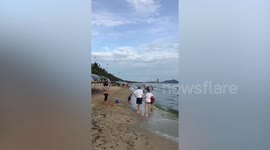 Sea turns green amid algal bloom on Thai beach