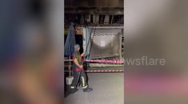 Pregnant cat with three kittens survives horror Bangkok pet market fire