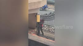 Considerate deliveryman carries parcel down through gaps in gate