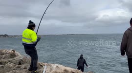 Fisherman hooks a huge stingray from the breakwater – what happens next?