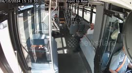 Shocking moment huge deer crashes through bus windshield