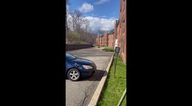Goose gone wild: campus bird attacks passersby