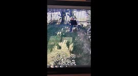 Chair Comically Collapses