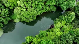 British vlogger explores advanced infrastructure in E China's Hangzhou