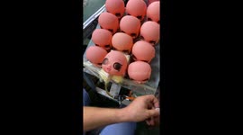 Doll Eyes Popped Into Place