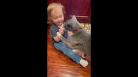 Toddler's bribe: Lukie’s quest to win over Ollie the cat with treats