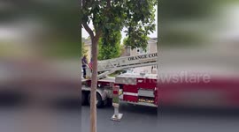 USA: Firefighters Rescue Crow Entangled in Sewing Thread in Ladera Ranch