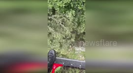 Italy: Helicopter Rescue Saves Two Hikers Stranded in Ravine Near Villadossola