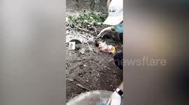 Abandoned newborn baby boy rescued after being left by mum near septic tank