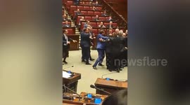 Mass brawl eruprts in Italian parliament leaving lawmaker injured