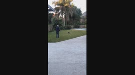 Grandpa's playful moment turns into a startling fall