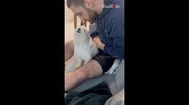 Tales from the couch: Man and his pup's heartfelt moment of affection