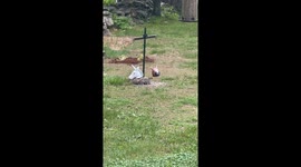 Unicorn Mask Squirrel Feeder