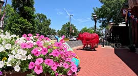 Paducah Hot Weather