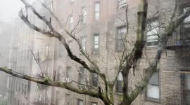 Severe Thunderstorm in Brooklyn