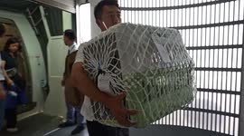 China's Shanghai welcomes pet-friendly chartered flight from overseas