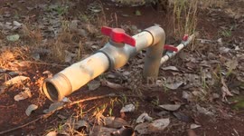 Vietnam: Drought reduces Vietnam's coffee output