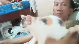 My cute cat likes to massage