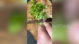 Forager lives off plants he finds and claims they even cure his aches and pains