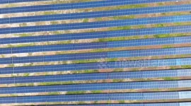 China's new energy industry benefits Malaysia's green transformation