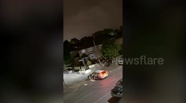 New unseen footage of police ramming cow shows full extent of horror in Staines