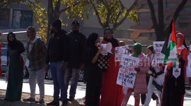 South Africa: Pro-Palestinian activists protest in Sandton, Johannesburg