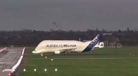 UK: The world's rarest aircraft, Beluga, now has its own airline