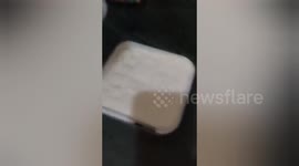 A live centipede found inside Amul Vanilla Magic ice cream in India