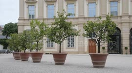 Austria: Vienna's Liechtenstein Garden Palace