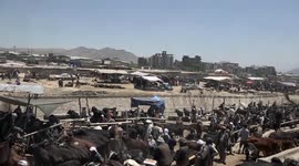 Afghans preparing to celebrate Eid al-Adha amid economic hardship
