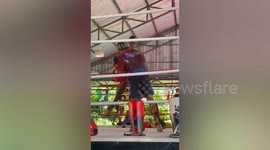 Footballer Mario Balotelli 'falls off motorcycle' while learning Muay Thai boxing in Thailand